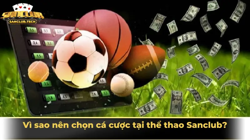 Sảnh cá cược thể thao Sanclub hiện đại, kịch tính và đáng trải nghiệm nhất 2025 1 Vì sao nên chọn cá cược tại thể thao Sanclub?
