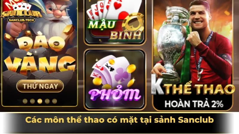 Sảnh cá cược thể thao Sanclub hiện đại, kịch tính và đáng trải nghiệm nhất 2025 2 Các môn thể thao có mặt tại sảnh Sanclub